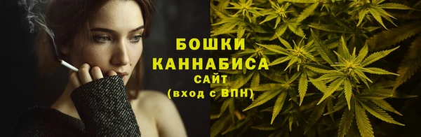 твердый Надым