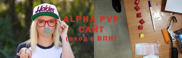 твердый Надым