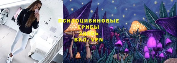 сатива Наволоки