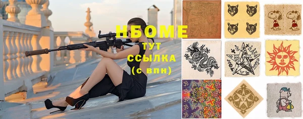 твердый Надым